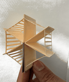 Panopticon Flower — fotos