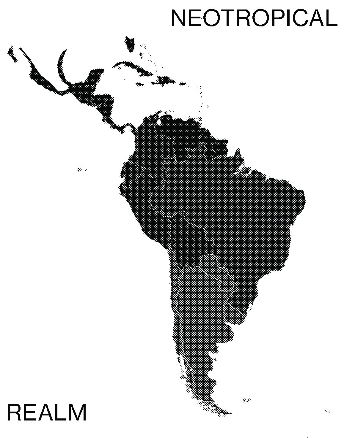 Neotropical